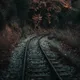 Fall Blend - thumbnail 1