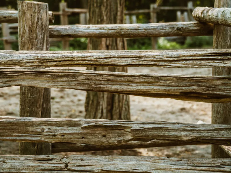 Weathered wooden fencing in natural landscape