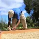 Summer Blend - thumbnail 3