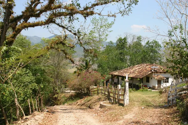 Honduran San Vicente Yojoa - Mauch Chunk Coffee Company