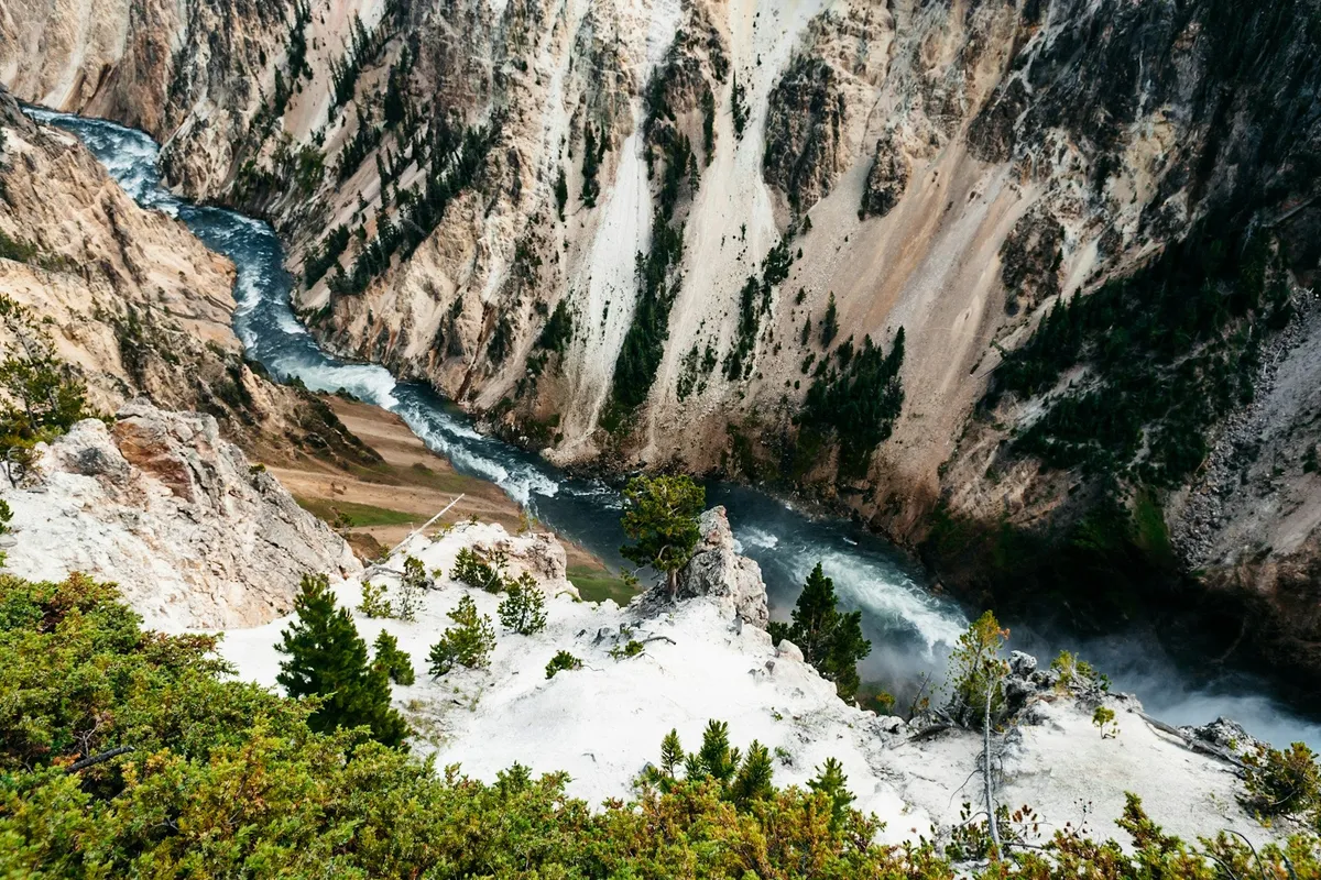 Scenic river winding through a forested mountain canyon
