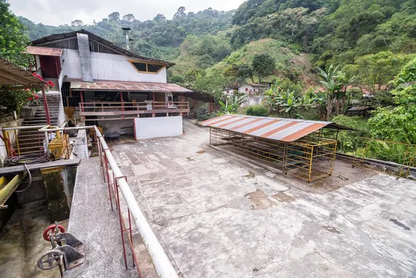 Nicaraguan Mancotal Apanas - Mauch Chunk Coffee Company