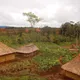 Papua New Guinean Mount Bosavi Reserve - Mauch Chunk Coffee Company