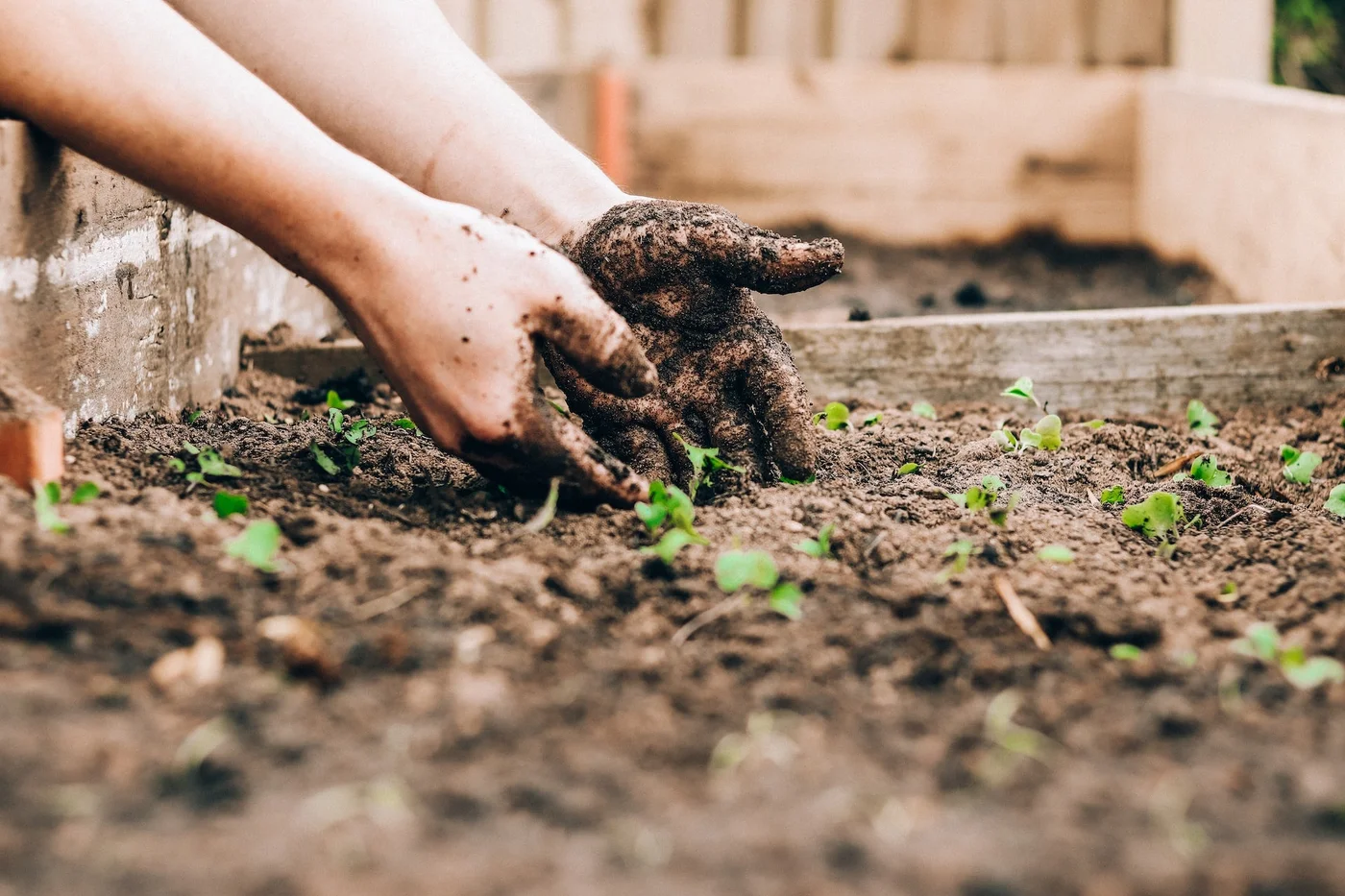 Garden Club Fundraiser Ideas