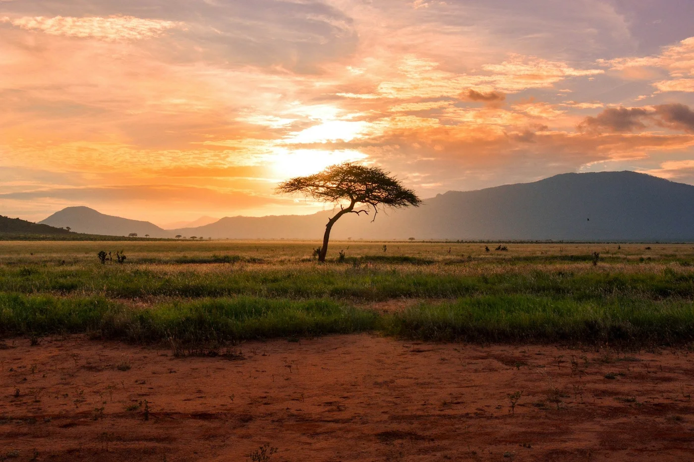 Kenya Uncovered