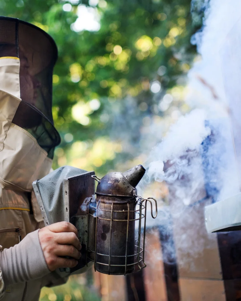 A beekeeper in protective gear using a stainless steel smoker fueled by repurposed burlap outside a beehive